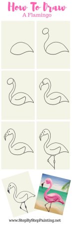 Фламинго рисунок карандашом