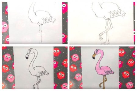 Розовый Фламинго рисунок