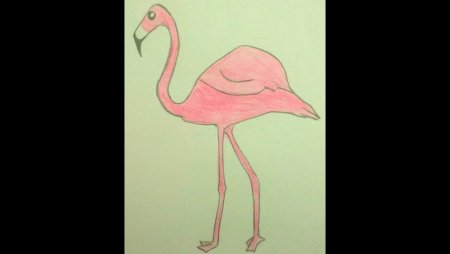 Фламинго акриловыми красками