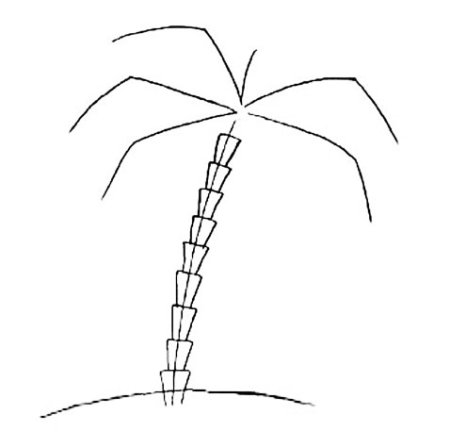 Как нарисовать пальму поэтапно