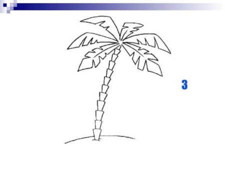 Поэтапное рисование пальмы