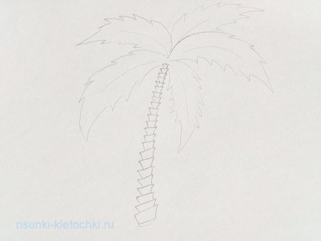 Пошаговое рисование пальмы