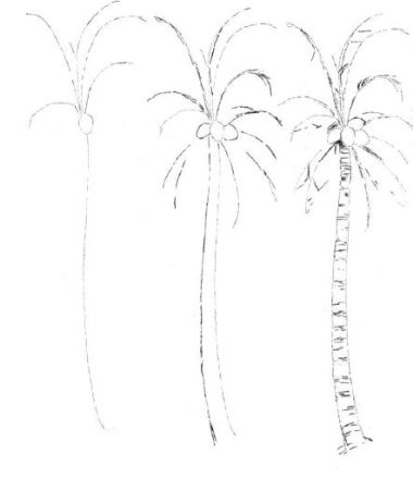 Поэтапное рисование пальмы
