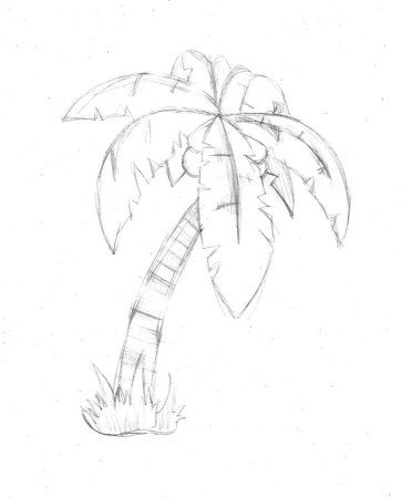 Рисование пальмы для дошкольников