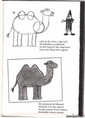 Пошаговый рисунок верблюда