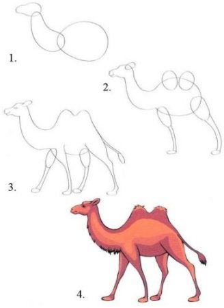 Поэтапное рисование верблюда в пустыне