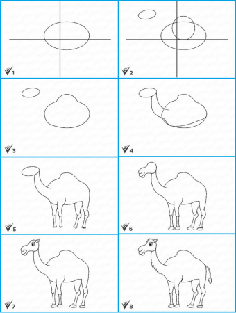 Поэтапное рисование верблюда