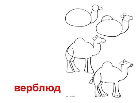 Нарисовать верблюда
