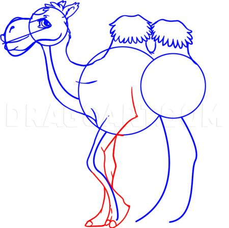 Верблюд набросок