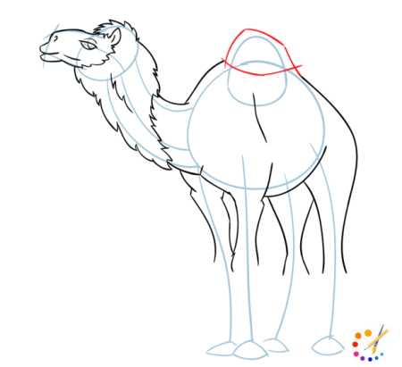 Орнамент раскраска верблюда