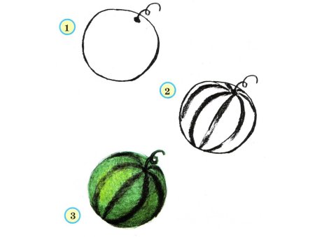 Фрукты рисование пошагово