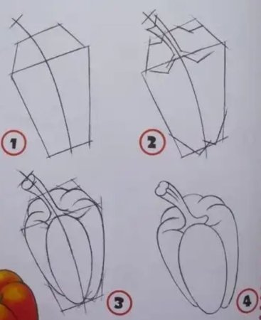 Рисунок перца пошагово