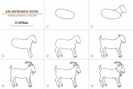 Как нарисовать козлика пошагово