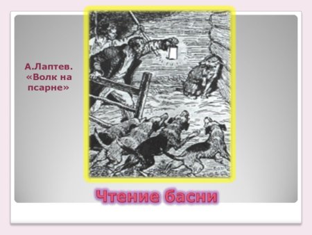 Попал на псарню