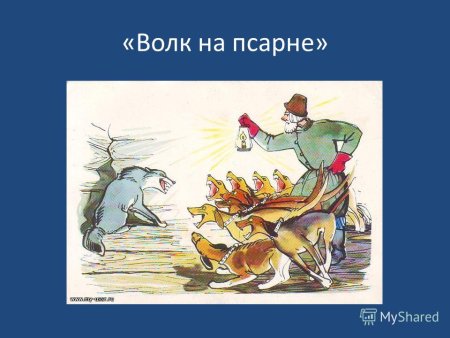 Волк на псарне Лаптев