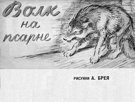 Мой волк сидит, прижавшись в угол задом. Зубами щёлкая и ощетиня