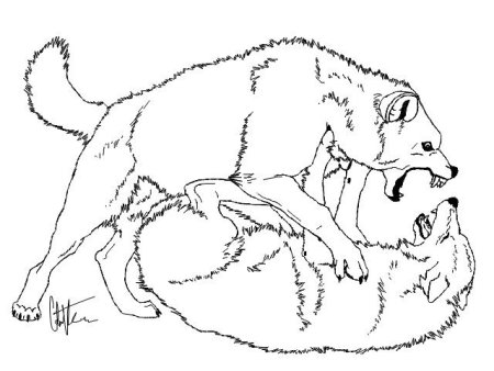 Волк на псарне аллегория