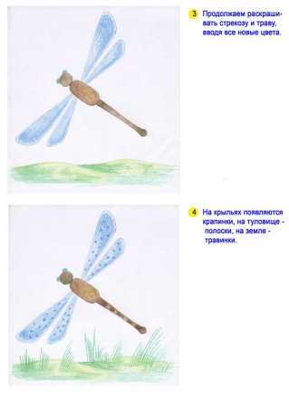 Рисунок стрекоза для детей поэтапно (52 фото)