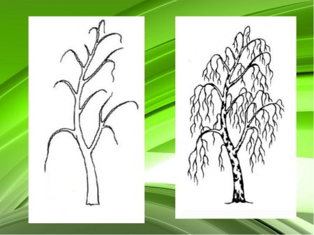 Линии в природе по рисованию