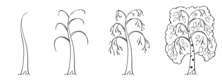 Этапы рисования дерева