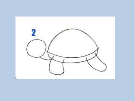 Рисование черепаха в старшей группе