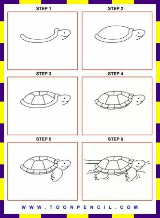 Поэтапное рисование морской черепахи