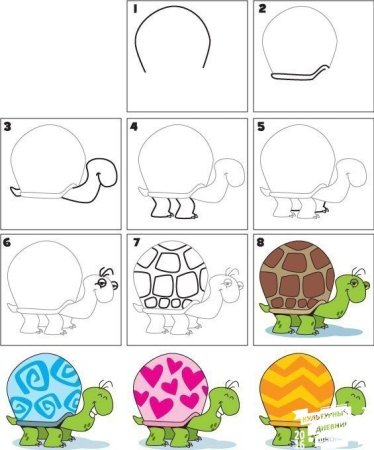 Как нарисовать черепаху