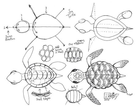 Пошаговое рисование черепахи для детей
