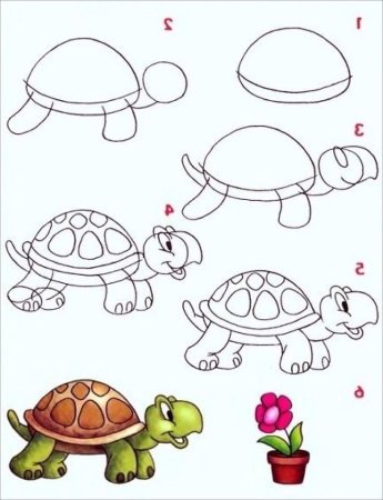 Черепаха рисунок для детей пошагово