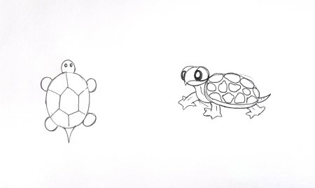 Поэтапное рисование черепахи