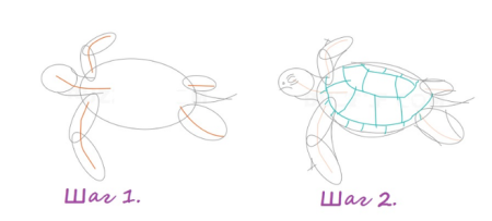 Поэтапное рисование черепахи