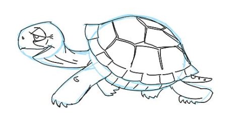 Поэтапное рисование черепахи