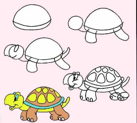 Легкие рисунки черепахи
