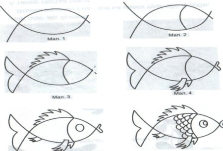 Поэтапное рисование рыбки в средней группе