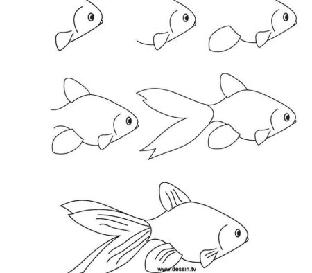 Поэтапное рисование золотой рыбки