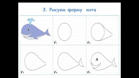 Нарисовать кита пошагово