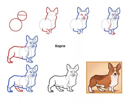 Пошаговый рисунок собаки