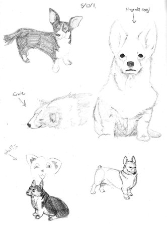 Поэтапные рисунки корги