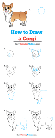 Корги рисунок пошагово