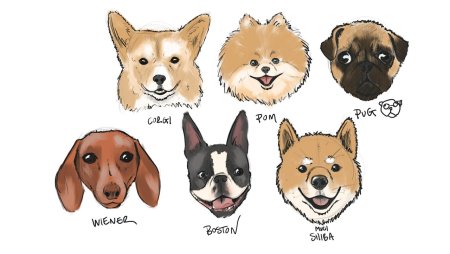 Типы морд у собак