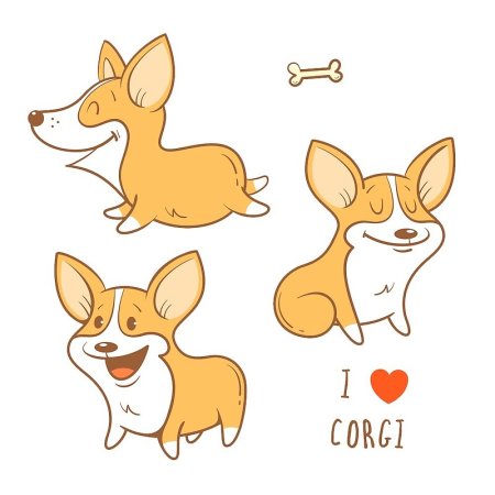 Рисунок корги для срисовки для начинающих