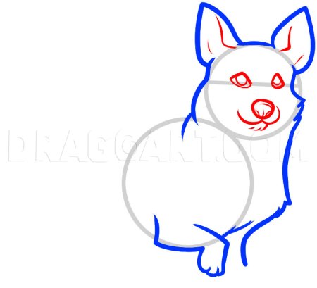 Поэтапное рисование собаки породы корги