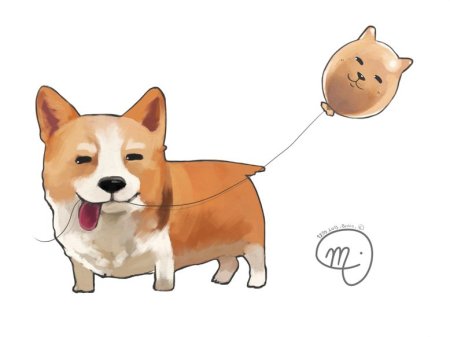 Срисовка корги на поводке