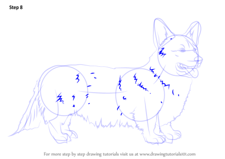 Корги схема для рисования