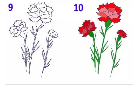 Гвоздика пошаговое рисование