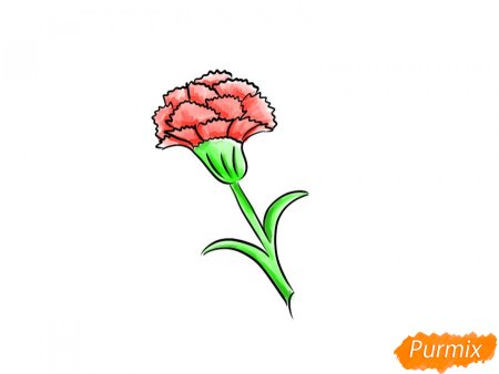 Гвоздика рисунок для детей