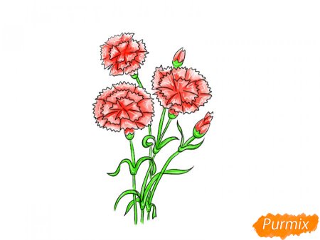Букет гвоздик рисунок