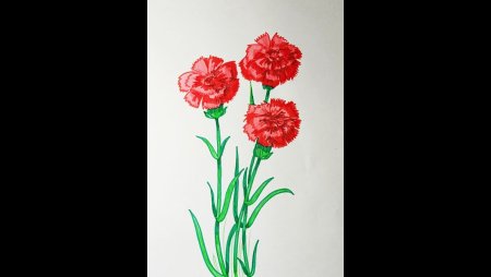 Рисунок гвоздики фломастером