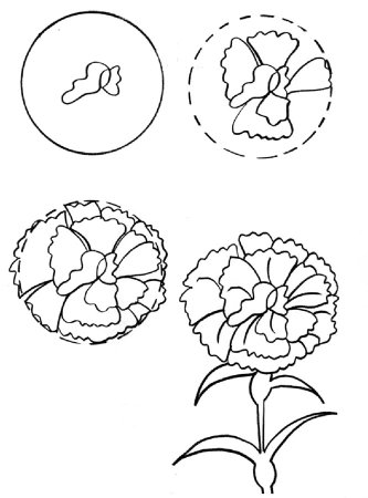 Рисование гвоздики поэтапно