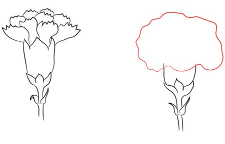 Гвоздика пошаговое рисование